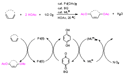 biomim1