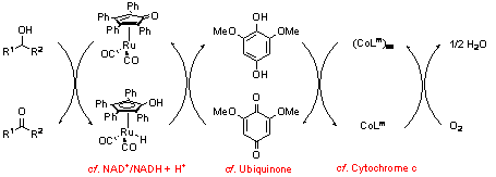 biomim2